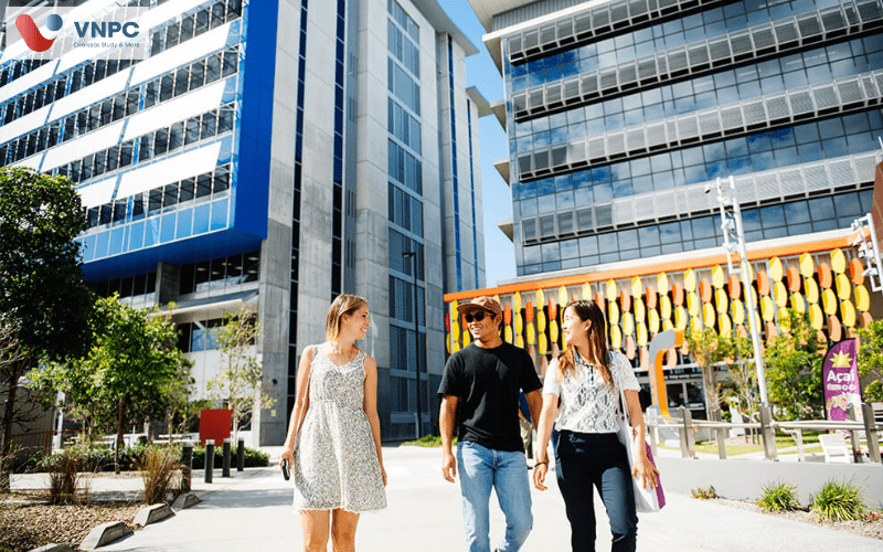 southern cross university
